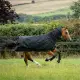 Bucas Irish Turnout+neck 50 gram regendeken
